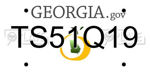 TS51Q19 Georgia License Plate