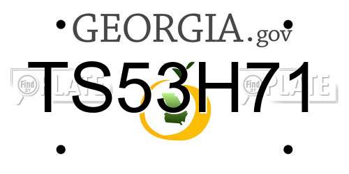 TS53H71 Georgia License Plate