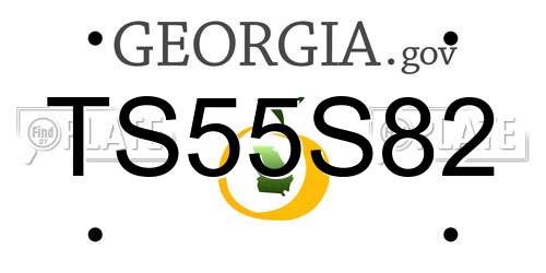 TS55S82 Georgia License Plate