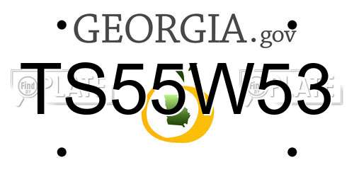 TS55W53 Georgia License Plate