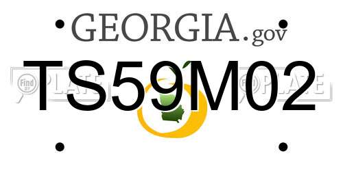 TS59M02 Georgia License Plate