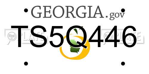 TS5Q446 Georgia License Plate