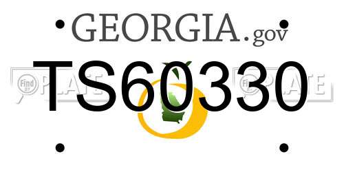TS60330 Georgia License Plate