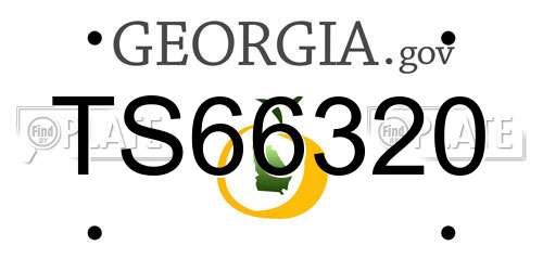 TS66320 Georgia License Plate
