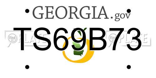 TS69B73 Georgia License Plate