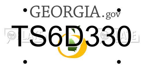 TS6D330 Georgia License Plate