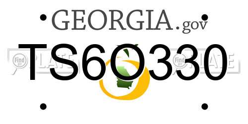 TS6O330 Georgia License Plate