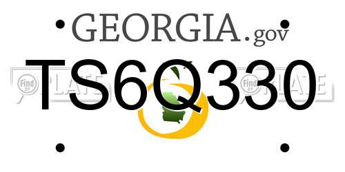 TS6Q330 Georgia License Plate