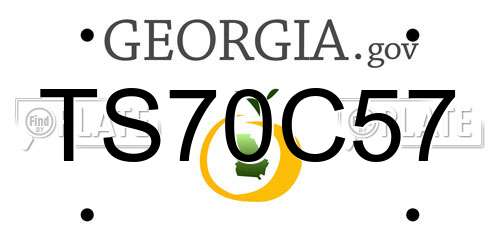 TS70C57 Georgia License Plate