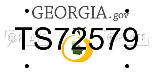 TS72579 Georgia License Plate