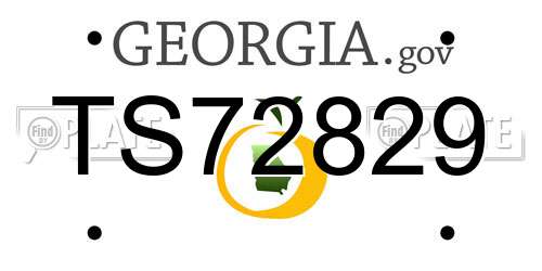 TS72829 Georgia License Plate