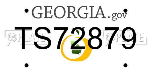 TS72879 Georgia License Plate