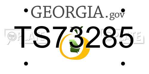 TS73285 Georgia License Plate