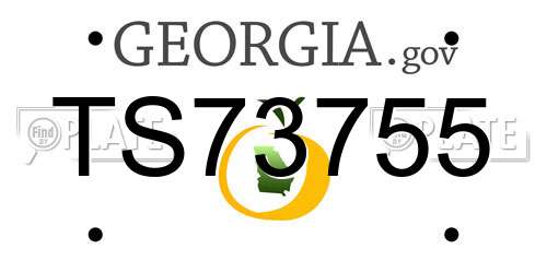 TS73755 Georgia License Plate