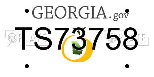 TS73758 Georgia License Plate
