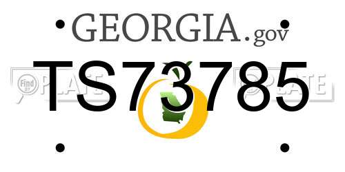 TS73785 Georgia License Plate