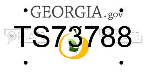 TS73788 Georgia License Plate