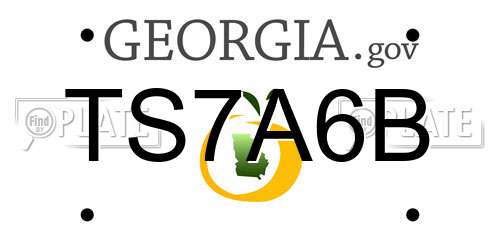 TS7A6B Georgia License Plate
