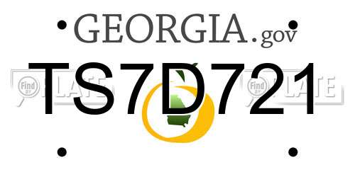 TS7D721 Georgia License Plate