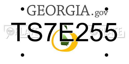 TS7E255 Georgia License Plate