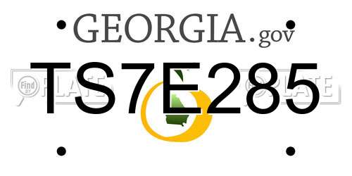 TS7E285 Georgia License Plate