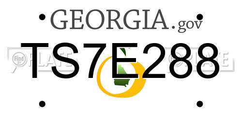 TS7E288 Georgia License Plate