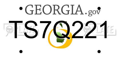TS7Q221 Georgia License Plate
