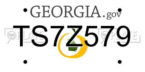 TS7Z579 Georgia License Plate