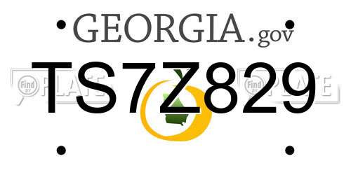 TS7Z829 Georgia License Plate