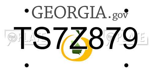 TS7Z879 Georgia License Plate