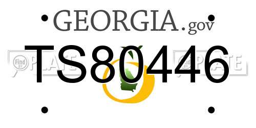 TS80446 Georgia License Plate