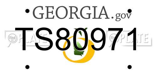 TS80971 Georgia License Plate