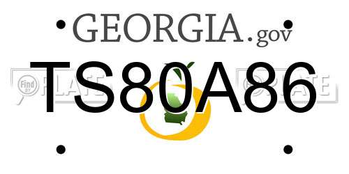 TS80A86 Georgia License Plate