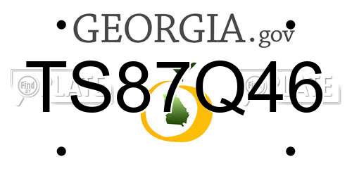 TS87Q46 Georgia License Plate