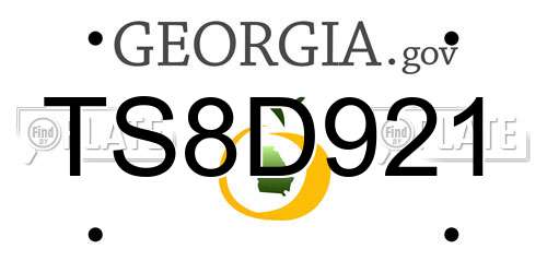 TS8D921 Georgia License Plate