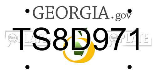 TS8D971 Georgia License Plate