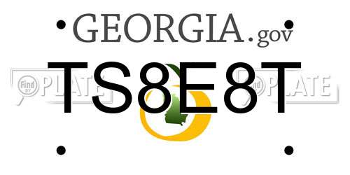 TS8E8T Georgia License Plate