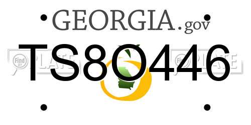 TS8O446 Georgia License Plate