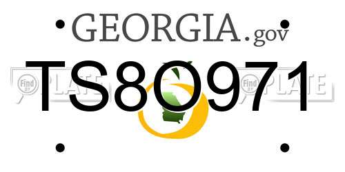 TS8O971 Georgia License Plate