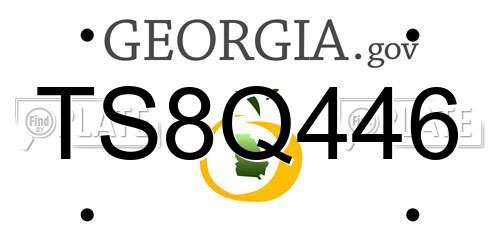 TS8Q446 Georgia License Plate