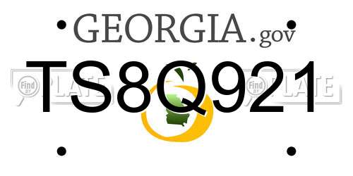 TS8Q921 Georgia License Plate