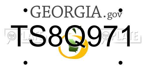 TS8Q971 Georgia License Plate