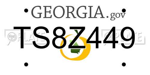 TS8Z449 Georgia License Plate