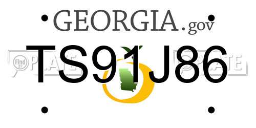 TS91J86 Georgia License Plate