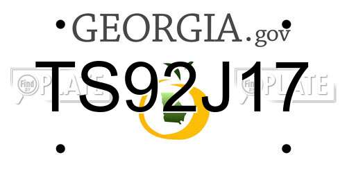 TS92J17 Georgia License Plate