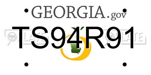 TS94R91 Georgia License Plate