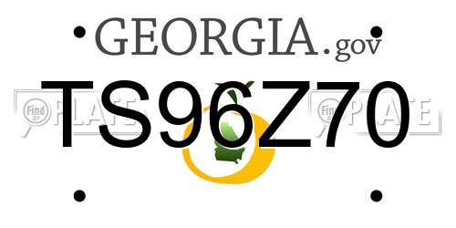 TS96Z70 Georgia License Plate