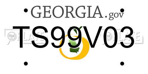 TS99V03 Georgia License Plate