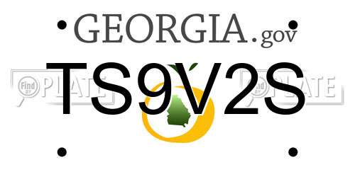 TS9V2S Georgia License Plate