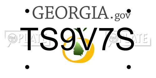 TS9V7S Georgia License Plate